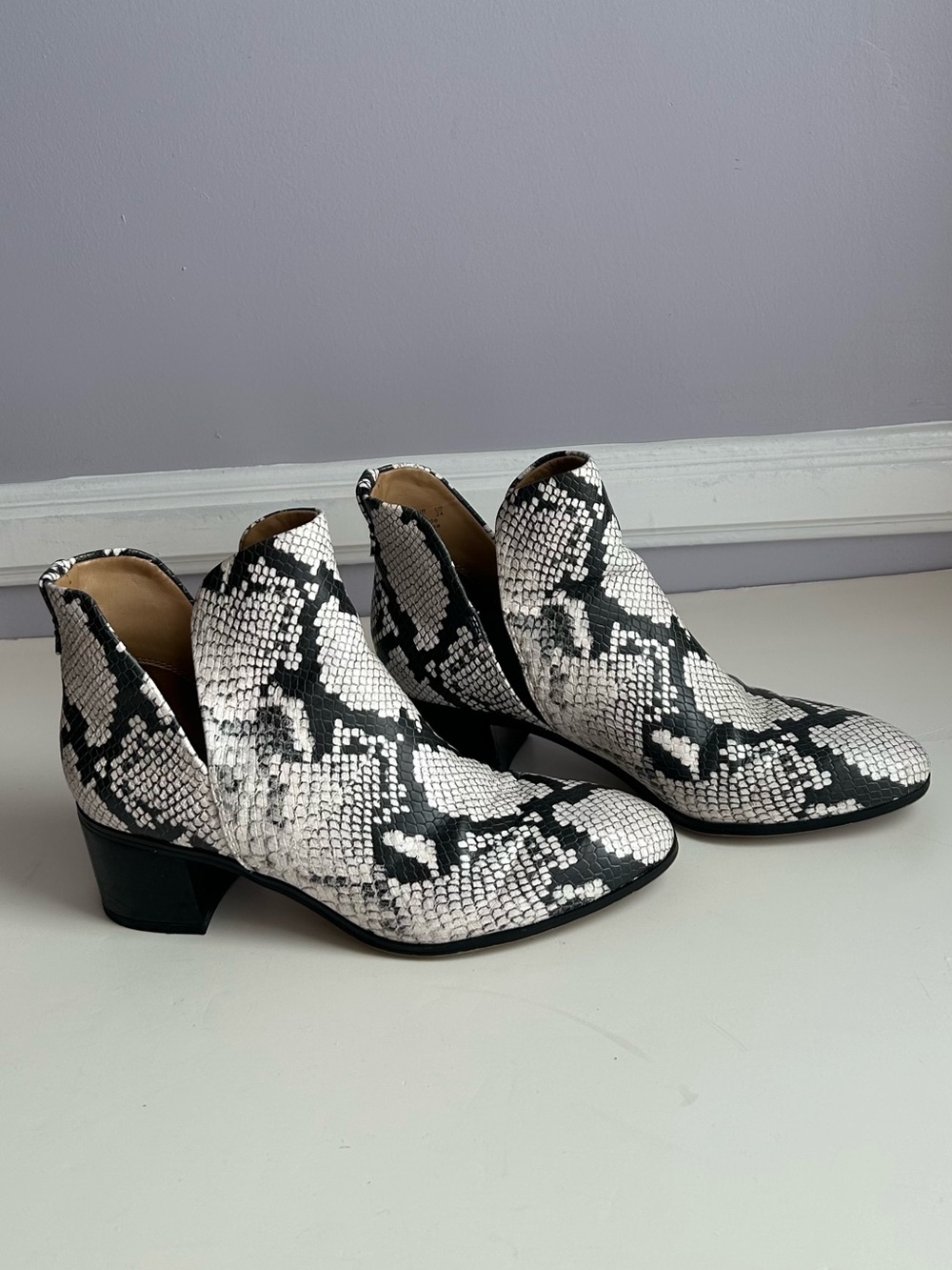 Franco Sarto Roar Black and White Snake-Print block heel Ankle Booties